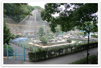 和歌山城公園動物園（水禽園）